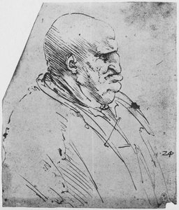 Ein groteskes Profil eines Mannes nach rechts, um 1480