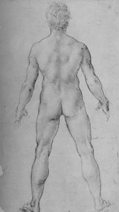 Ein nackter Mann von hinten gesehen, ca. 1480