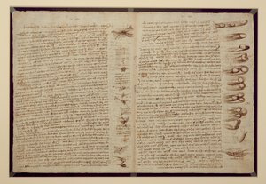 Eine Seite aus dem Codex Leicester, 1508-12