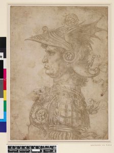 Büste eines Kriegers von Leonardo da Vinci