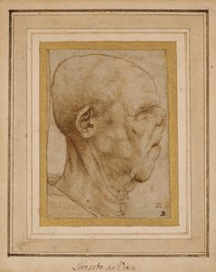 Karikatur des Kopfes eines alten Mannes, im Profil nach rechts, ca. 1507 von Leonardo da Vinci