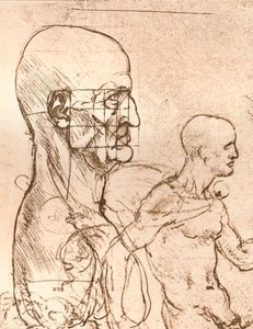 Zeichnung zur Veranschaulichung der Theorie der Proportionen der menschlichen Figur
