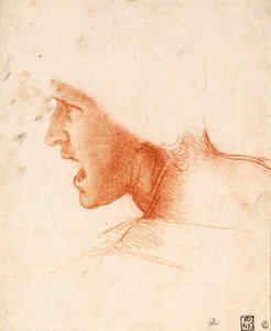 Studie eines Soldatenkopfes für Die Schlacht von Anghiari von Leonardo da Vinci