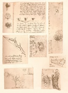Fünf Zeichnungen, die die Elemente der Landschaftsmalerei illustrieren, um 1472-1519, 1883 von Leonardo da Vinci