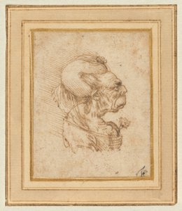 Grotesker Kopf einer alten Frau von Leonardo da Vinci