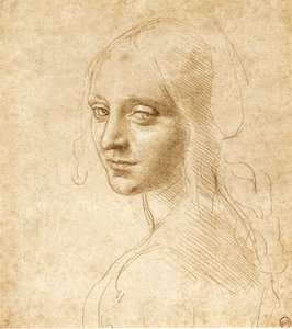 Kopf und Schultern eines Mädchens, um 1490 von Leonardo da Vinci