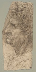Kopf eines Mannes im Profil nach links von Leonardo da Vinci