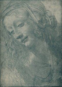Kopf einer Jungfrau von Leonardo da Vinci