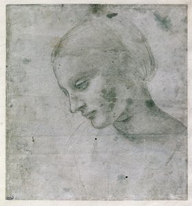 Kopf einer jungen Frau oder Kopf der Jungfrau, um 1490 von Leonardo da Vinci