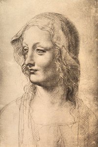Kopf einer jungen Frau, Zeichnung von Leonardo da Vinci, Gabinetto dei Disegni e Stampe, Uffizien, Florenz von Leonardo da Vinci