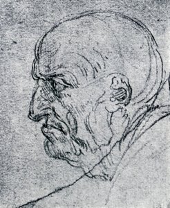 Kopf eines alten Mannes
