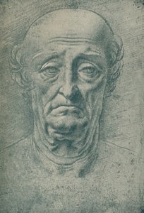 Kopf eines alten Mannes