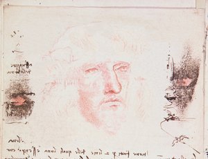 Notizen zu Richtungsänderungen im Flug, Manuskriptseite aus Codici Rari III 35.2, fol. 10v aus Abhandlung über den Vogelflug, 1505 von Leonardo da Vinci