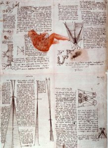 Notizen zur Physiologie des Sehens