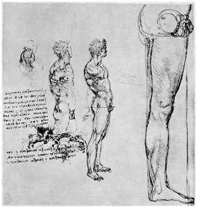 Aktstudien für Die Schlacht von Anghiari, ca. 1503-1505