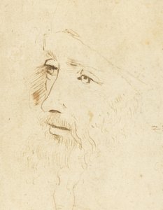 Porträt von Leonardo da Vinci, ca. 1518