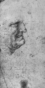 Profil eines Mannes mit zusammengebissenen Zähnen, ca. 1480, 1945