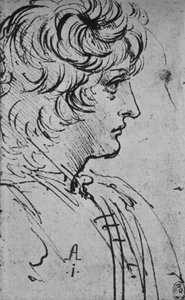 Profil eines Jugendlichen nach rechts, um 1480