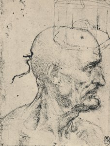 Profil eines glatzköpfigen Mannes nach rechts