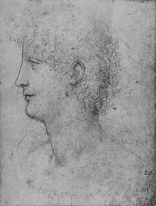 Profil eines lockigen Jugendlichen nach links, ca. 1480, 1945