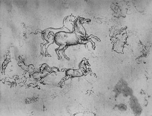 Studien von galoppierenden Pferden und einem Kopf, ca. 1480, 1945 von Leonardo da Vinci
