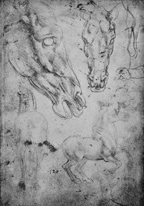 Studien von Pferden und Pferdeköpfen, um 1480, 1945 von Leonardo da Vinci