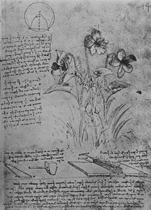 Studien von Bratschen und Methoden des Lötens von Bleidächern, ca. 1480 1945
