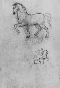Studien eines Pferdes und eines Pferdes mit Reiter, um 1480, 1945 von Leonardo da Vinci