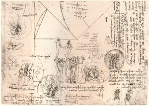 Studien von Emblemen