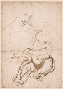 Studie für die Madonna mit einer Obstschale, ca. 1478
