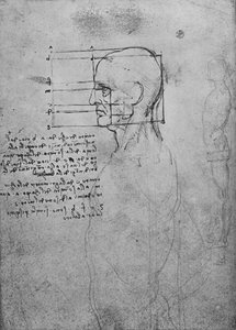 Studie eines männlichen nackten Torsos, der Kopf für Proportionen quadratisch, ca. 1480-1945