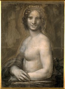 Studie eines weiblichen Aktes, wahrscheinlich die Mona Lisa (Detail)