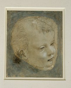 Kopf eines Kindes, Dreiviertelansicht nach rechts von Leonardo da Vinci