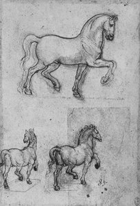 Drei Studien von Pferden, ca. 1480 1945 von Leonardo da Vinci