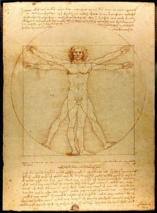 Vitruvianischer Mensch von Leonardo da Vinci