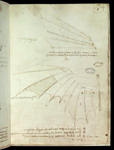 Flügel. Flugmaschinenzeichnung. Manuskript von Leonardo da Vinci