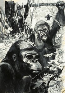 Gorillas von Leslie Field Evans