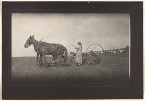 Bauernszene, Massachusetts von Lewis W. Hine