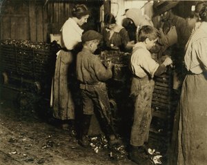 Der 10-jährige Jimmie, der seit 3 Jahren (6 Töpfe pro Tag) mit einem 11-jährigen Jungen, der 7 Töpfe schält, bei Varn und Platt Canning Co., Bluffton, South Carolina, 1913 von Lewis Wickes Hine