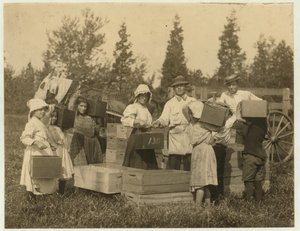 Kinder tragen ihre Cranberries zum Scheffelmann bei Theodore Budd