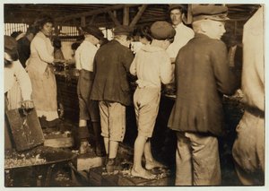 Shrimp-Picker, darunter der 8-jährige Max, bei Dunbar, Lopez, Dukate Co, Biloxi, Mississippi, 1911