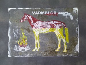 Warmblut-Pferdeanatomie