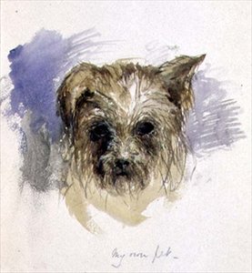 Mein Haustierhund