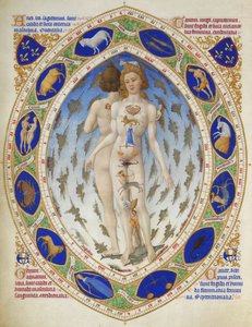 Très Riches Heures des Herzogs von Berry: Anatomischer Mann