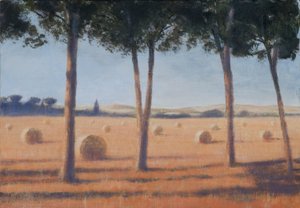 Heuballen und Kiefern, Pienza, 2012