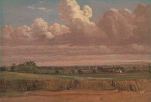 Landschaft mit Weizenfeld