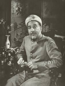 Ein Mamujee, Esq von Lionel Wendt