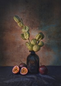 Dunkle Passionsfrucht Stillleben