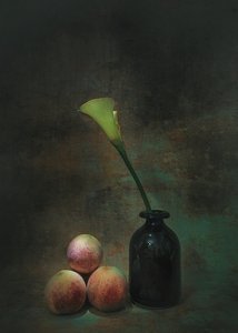 Stimmungsvolle Calla-Lilie Stillleben