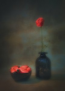 Rote Blume Stillleben